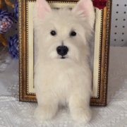 custom 3d wool needle felted dog portrait 10 inches