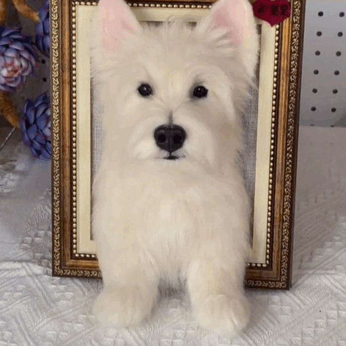 custom 3d wool needle felted dog portrait 10 inches
