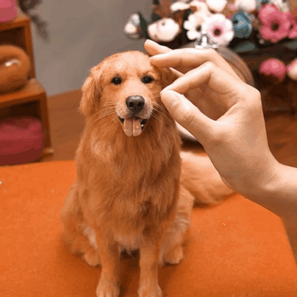 custom 3d wool needle felted pet – full body design