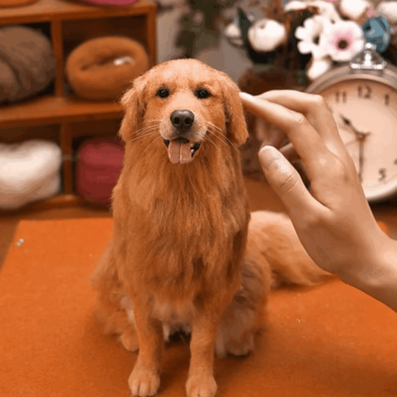 custom 3d wool needle felted pet – full body design