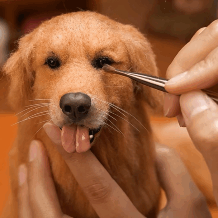 custom 3d wool needle felted pet – full body design