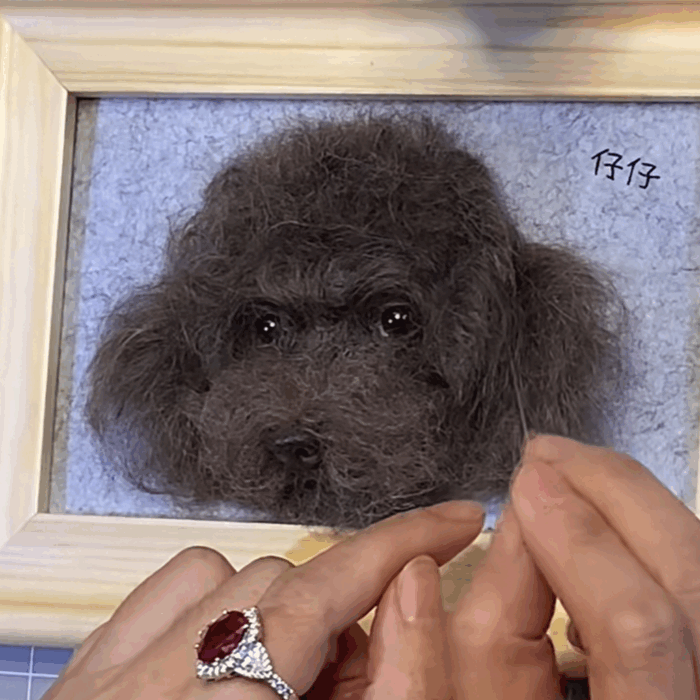 3d felt wool pet portrait | felt wool dog & cat memorial photo frame | pet lover gifts | pet loss gift | 6 inches