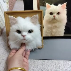 custom 3d wool needle felted cat portrait 6 inches