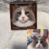 custom 3d wool needle felted cat portrait 6 inches
