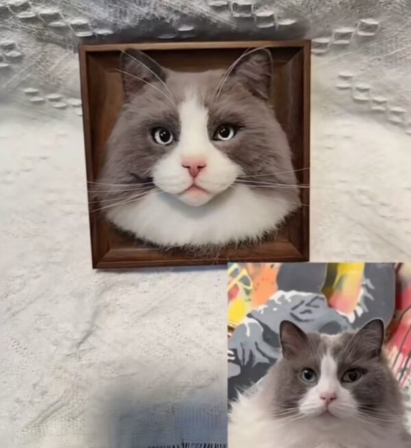 custom 3d wool needle felted cat portrait 6 inches