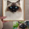 custom 3d wool needle felted cat portrait 6 inches