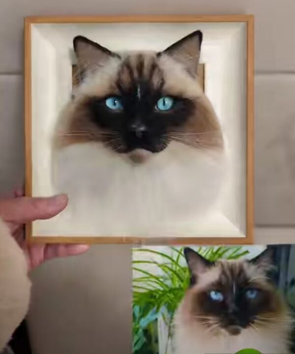custom 3d wool needle felted cat portrait 6 inches