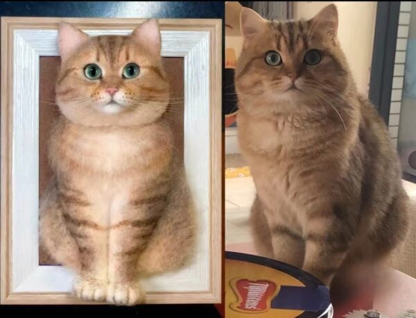 custom 3d wool needle felted cat portrait 10